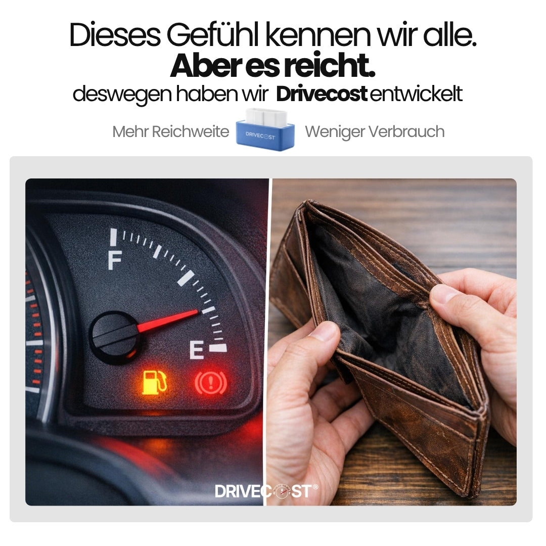 DriveCost Effizienz System